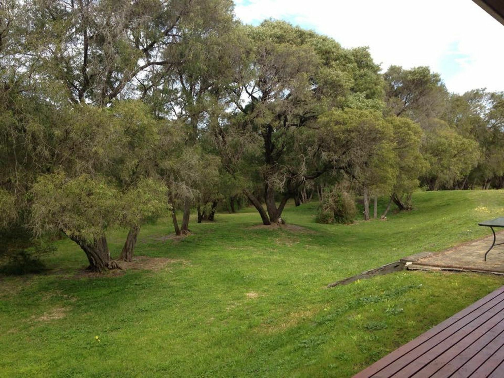 Emu Beach Chalets Albany Kültér fotó